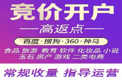 知名SEM公司案例分析：优化策略与成果