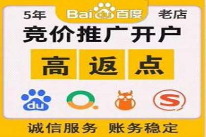 百度竞价代理的投放策略及某行业成功案例